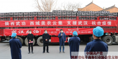陕西电商企业驰援武汉和十堰 10万斤爱心苹果送到抗疫第一线